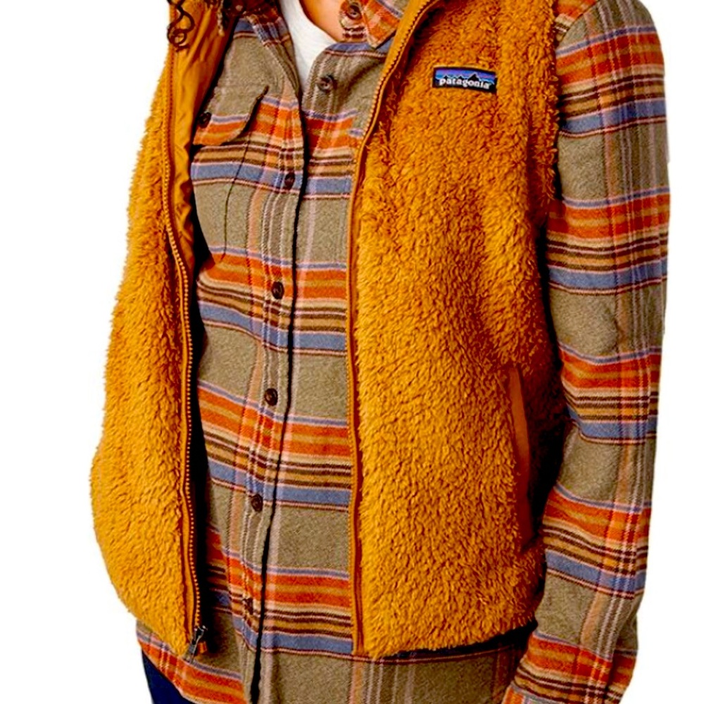 Patagonia vest
